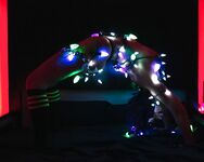 Canadian Model Sparrow Grace (Amarax venusdesire.xo) OF Leak