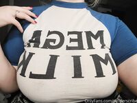 Striderscribe collection