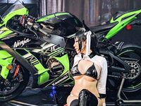 vivid vision gallery