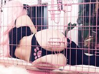 Belle Delphine MEGA PACK 2149 Pictures