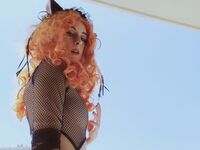 Pitykitty - BDSM Hotel