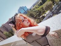 Pitykitty - BDSM Hotel