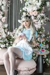 Luxlo Cosplay - Alice In Winderland