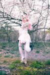Luxlo Cosplay, Cherry Blossom Kitty