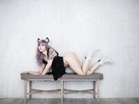 Luxlo Cosplay - Lilac Kitten