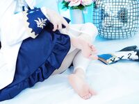 Hidori Rose Pack Barbara