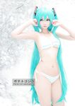POGO - Miku