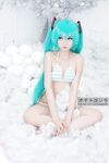POGO - Miku