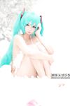 POGO - Miku