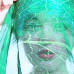 Random Rips of MarshmallowMaximus