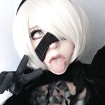 shinuki / shinxcos 2B