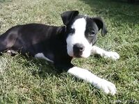 Bendybarbie Onlyfans Album