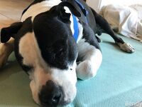 Bendybarbie Onlyfans Album