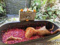 LeahGoesWilde MEGA PACK