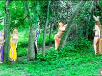 amy fantasy pokemon set