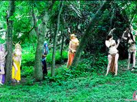 amy fantasy pokemon set