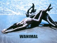 LALA Chinese Communist Spy lalacn