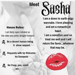 Sashaajames, Piperm10, Gabby Indiana Hot Wife Nudes