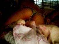 Brandi R being slutty