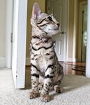 Lily Lou (@lilylou103) Pics