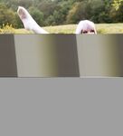 Lily Lou (@lilylou103) Pics