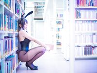 Saya The Fox - Sakurajima Mai