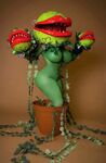 Bishoujomom Audrey II set