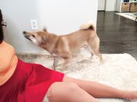 ambiyah pics (OnlyFans)