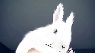 Vermillionvixen Car Mechanic Onlyfans Leaked