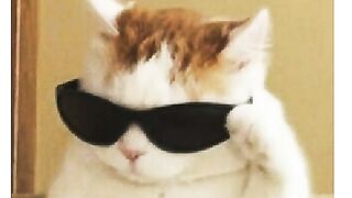 just for verification